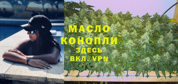 тгк Верея