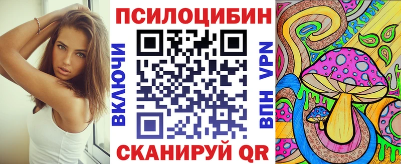 Галлюциногенные грибы Psilocybe  магазин продажи наркотиков  Среднеуральск 
