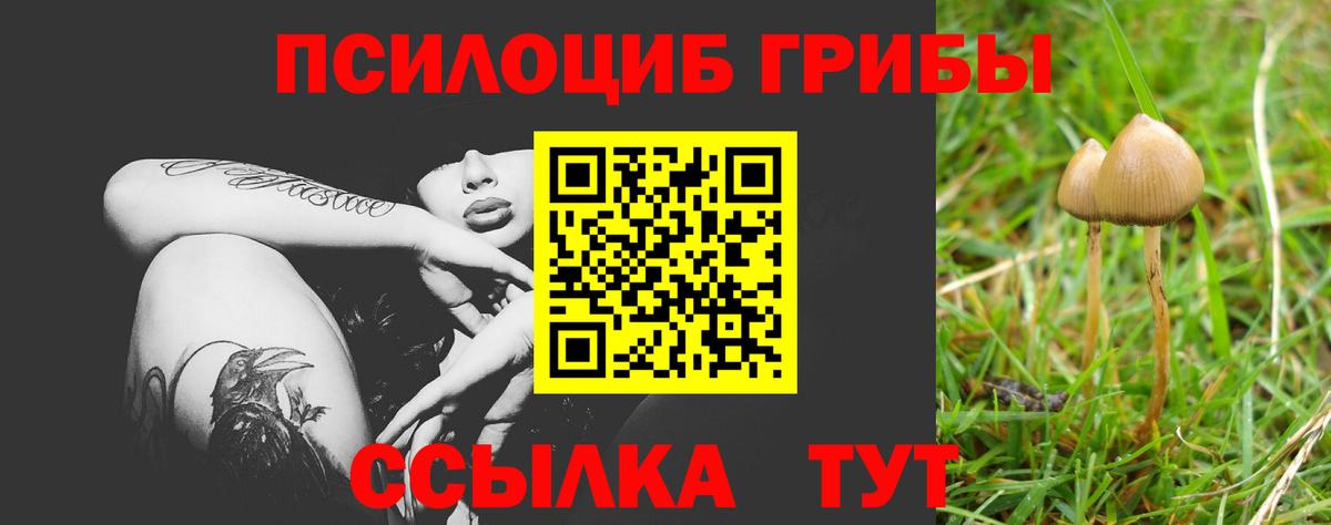 Галлюциногенные грибы GOLDEN TEACHER Среднеуральск